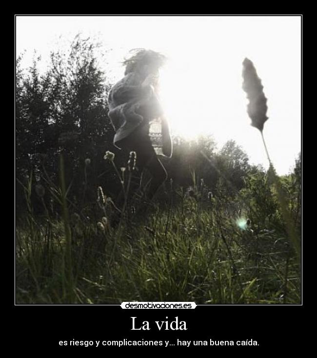 La vida - 