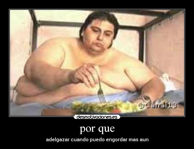 carteles gordo desmotivaciones