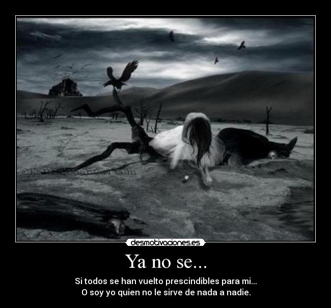 Ya no se... -