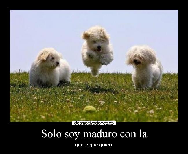 carteles desmo02 mira son una jodidas etiquetas etiquetaaas etas etas tetas desmotivaciones