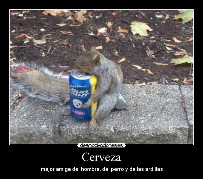 Cerveza -