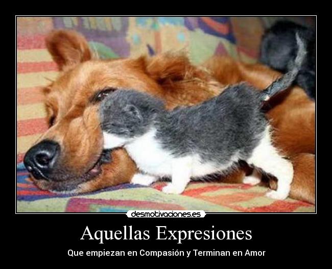 carteles anime motivacion diema desmotivaciones