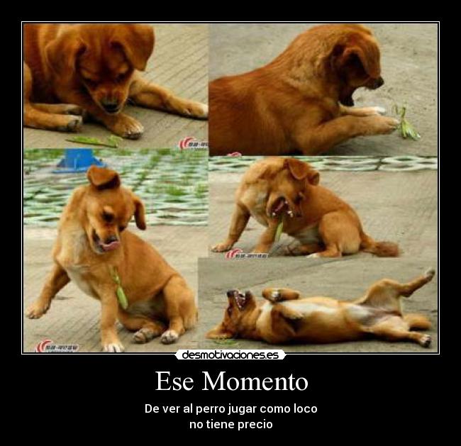 carteles motivacion dilema desmotivaciones