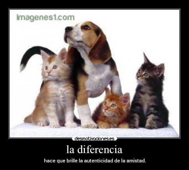 la diferencia - 