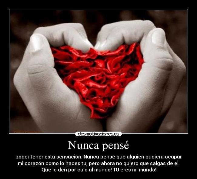 Nunca pensé - poder tener esta sensación. Nunca pensé que alguien pudiera ocupar
mi corazón como lo haces tu, pero ahora no quiero que salgas de el.
Que le den por culo al mundo! TU eres mi mundo!