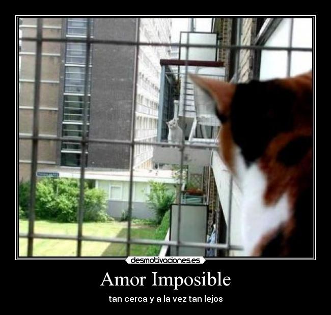 Amor Imposible - tan cerca y a la vez tan lejos