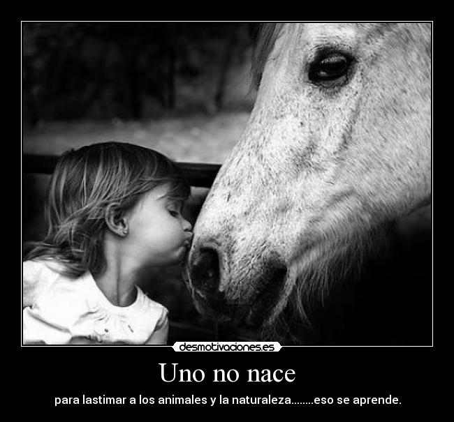 Uno no nace - para lastimar a los animales y la naturaleza........eso se aprende.
