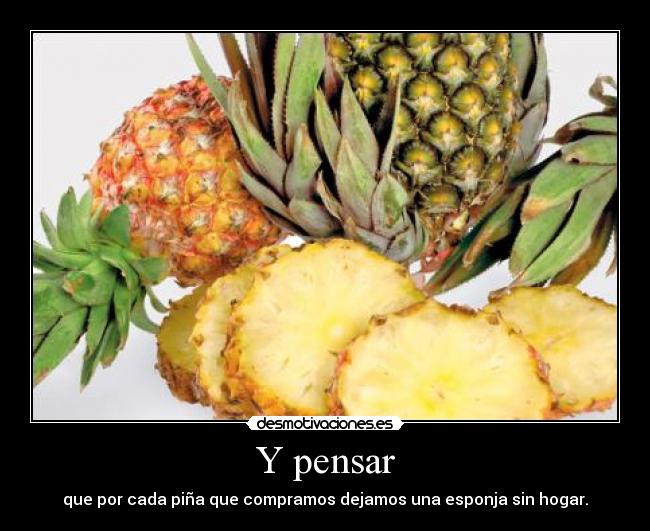 Y pensar - 