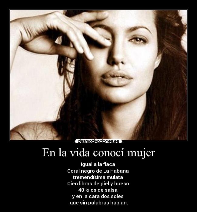carteles vida mujer vida conoci mujer igual flaca desmotivaciones