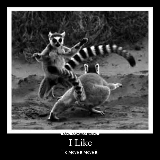 I Like - To Move It Move It