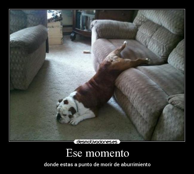 Ese momento - donde estas a punto de morir de aburrimiento