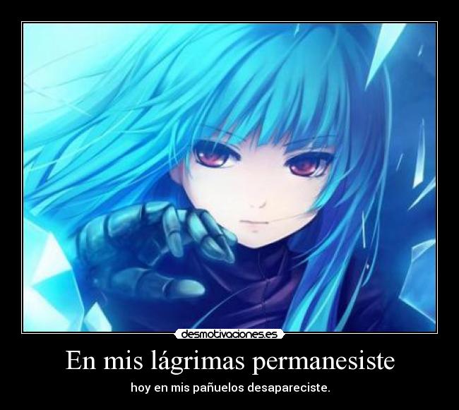 En mis lágrimas permanesiste - hoy en mis pañuelos desapareciste.