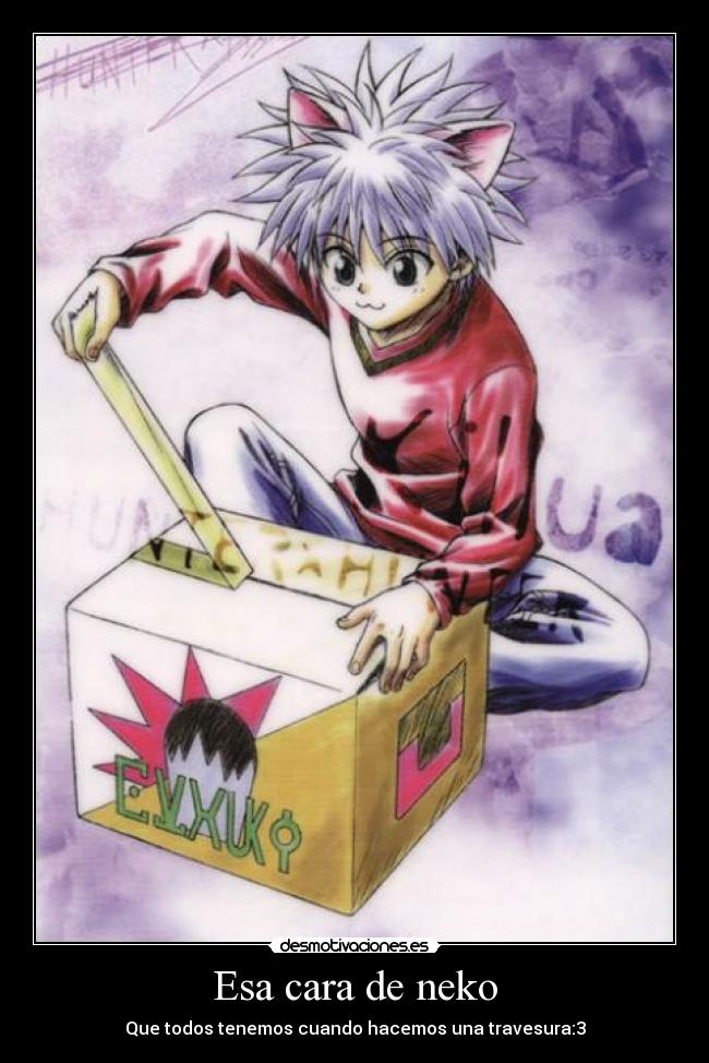 Esa cara de neko -