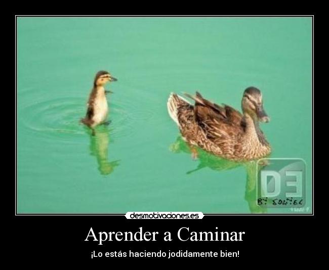 carteles agua caminar patos desmotivaciones