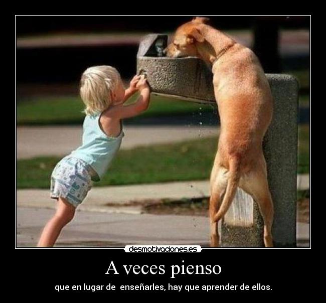 A veces pienso - que en lugar de  enseñarles, hay que aprender de ellos.