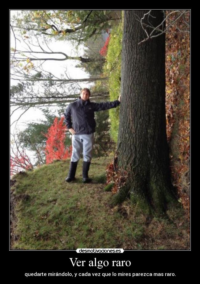 carteles cada vez que miro lamasfelizz parece mas rubia ataquepeca desmotivaciones