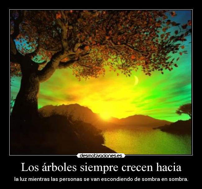 Los árboles siempre crecen hacia -