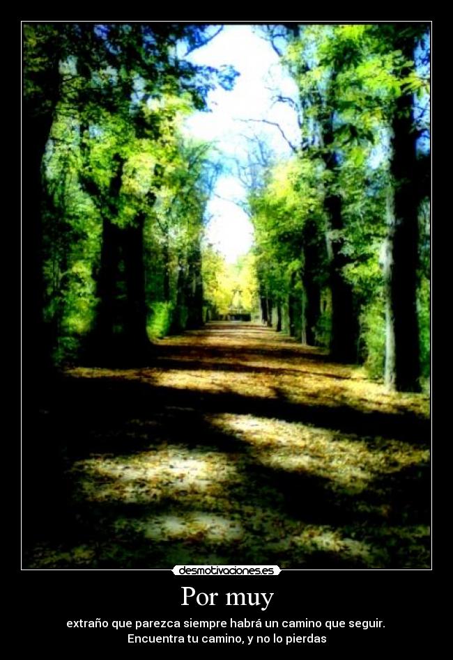 carteles brrrrrrrrrrrrrrrrrbrrrrrrrrrrrrrrrbrrrrrrrrrrrrr desmotivaciones