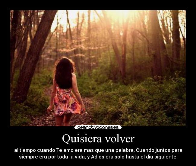 Quisiera volver - al tiempo cuando Te amo era mas que una palabra, Cuando juntos para
siempre era por toda la vida, y Adios era solo hasta el dia siguiente.