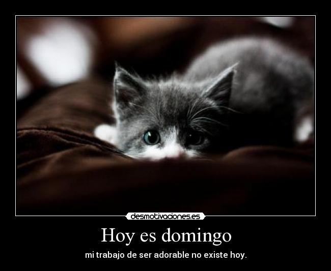 Hoy es domingo - mi trabajo de ser adorable no existe hoy.