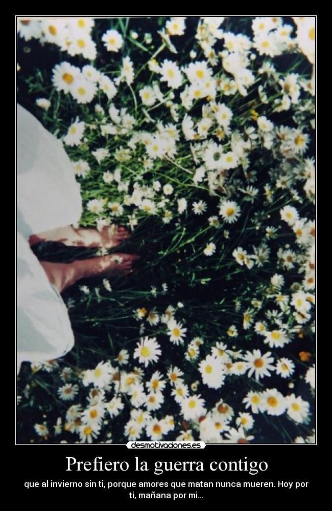 Prefiero la guerra contigo -