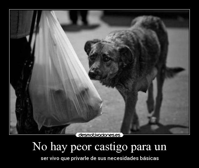 carteles cabeza princicola privo rapyeah desmotivaciones