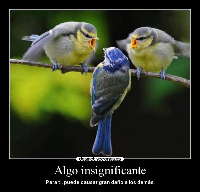 Algo insignificante - Para ti, puede causar gran daño a los demás.