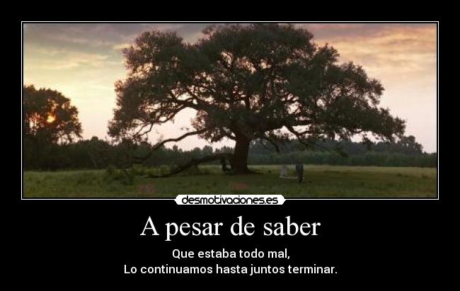 A pesar de saber - Que estaba todo mal,
Lo continuamos hasta juntos terminar.