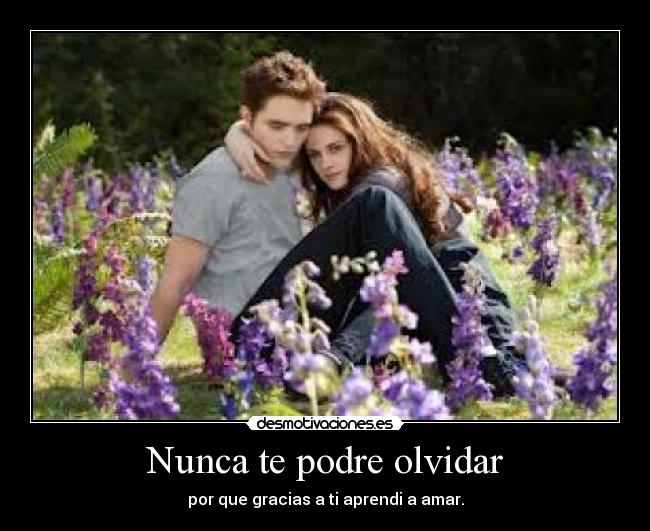 Nunca te podre olvidar - por que gracias a ti aprendi a amar.