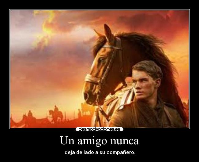 Un amigo nunca - 