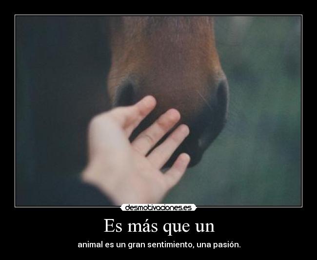 carteles wetgerwtrr desmotivaciones