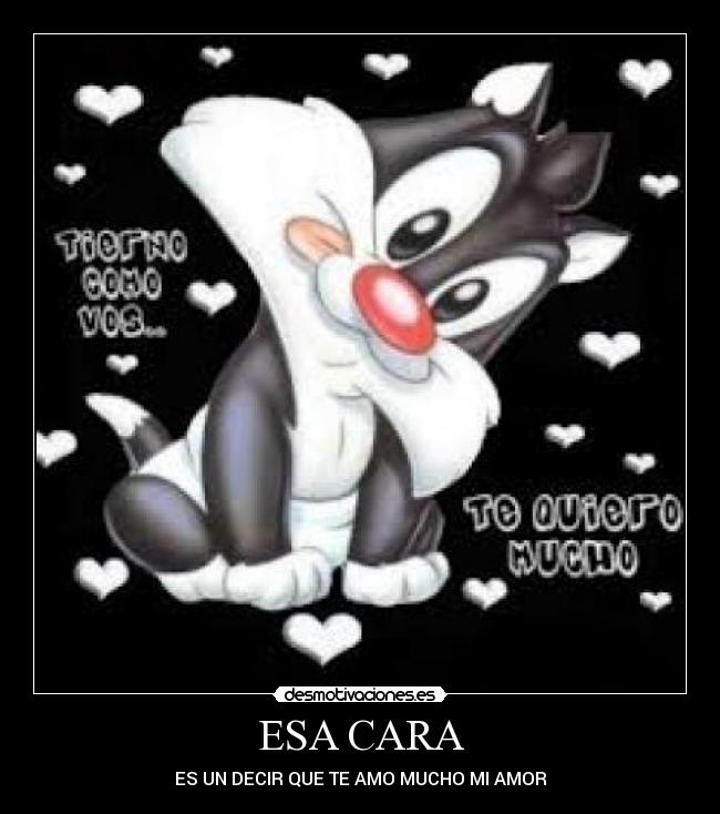 ESA CARA - ES UN DECIR QUE TE AMO MUCHO MI AMOR