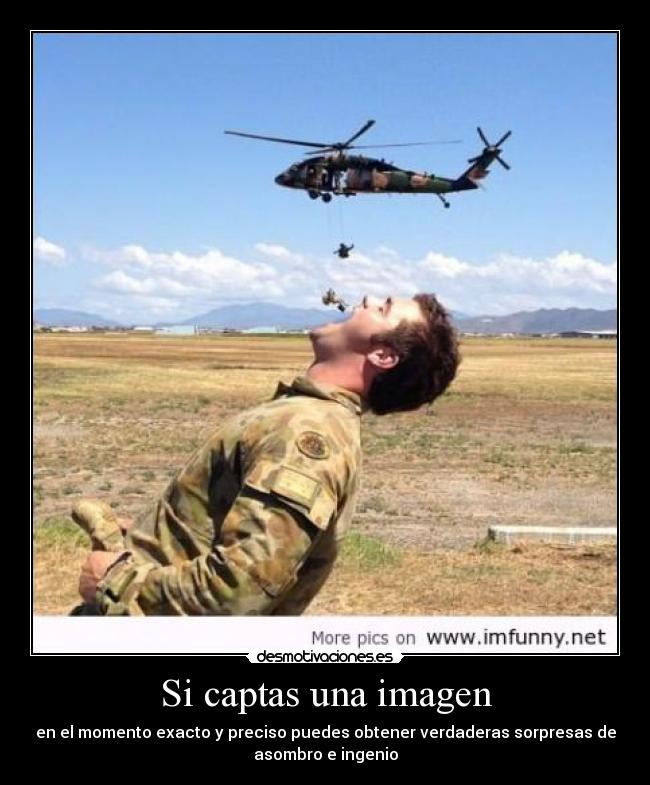 Si captas una imagen - en el momento exacto y preciso puedes obtener verdaderas sorpresas de
asombro e ingenio