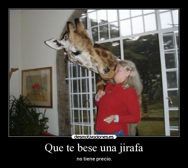 Que te bese una jirafa -