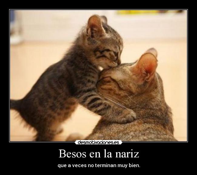 Besos en la nariz -