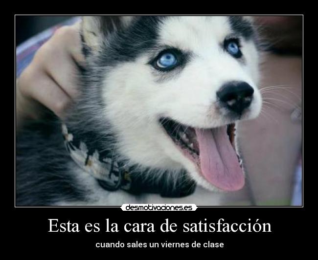 Esta es la cara de satisfacción - 