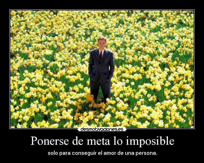 Ponerse de meta lo imposible - solo para conseguir el amor de una persona.