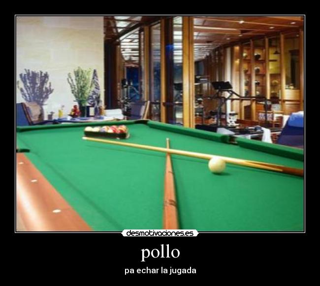 pollo - pa echar la jugada
