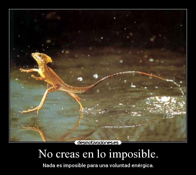 No creas en lo imposible. -