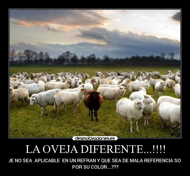 LA OVEJA DIFERENTE...!!!! - QUE NO SEA APLICABLE EN UN REFRAN Y QUE SEA DE MALA REFERENCIA SOLO
POR SU COLOR....???