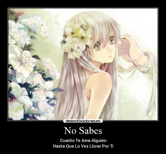 No Sabes - 