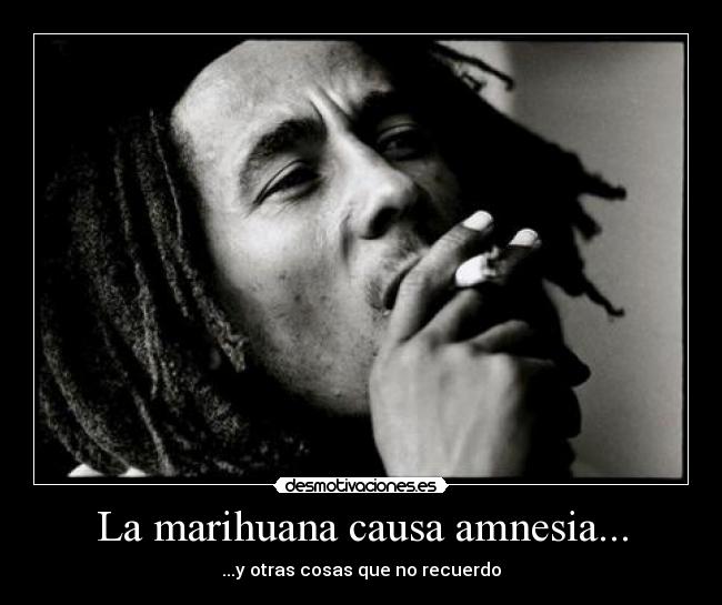 La marihuana causa amnesia... - ...y otras cosas que no recuerdo
