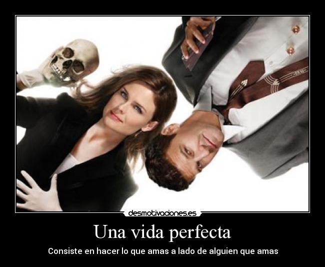 Una vida perfecta - 