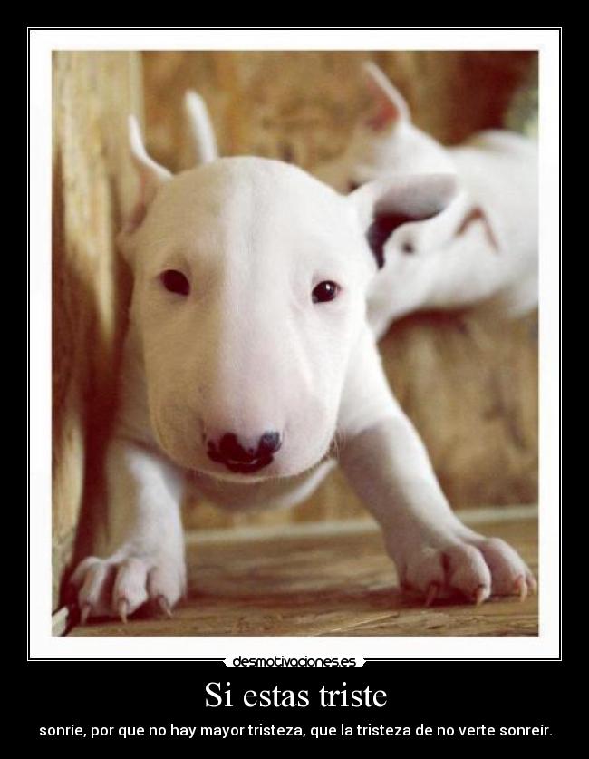 Si estas triste - sonríe, por que no hay mayor tristeza, que la tristeza de no verte sonreír.