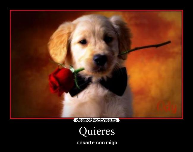 Quieres - casarte con migo