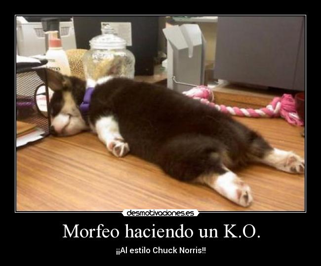 Morfeo haciendo un K.O. - 