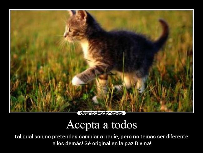 carteles aceptacion desmotivaciones