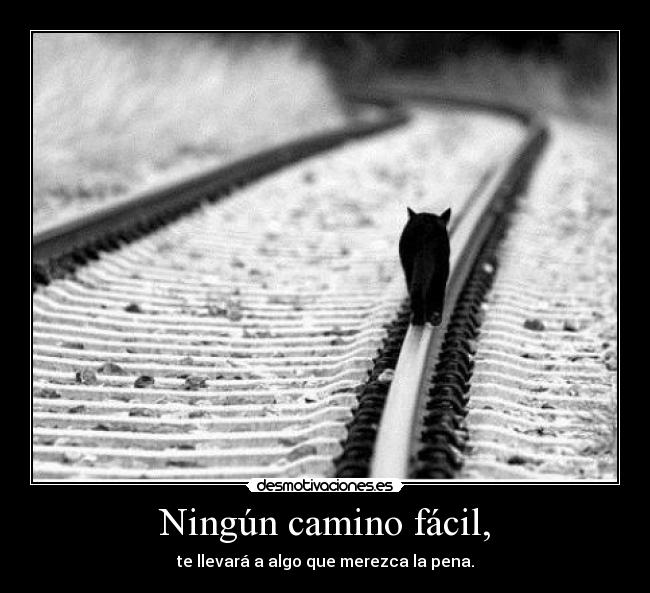 Ningún camino fácil, -