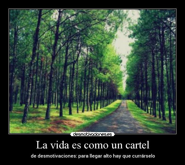 carteles vida reflexion vida desmotivaciones