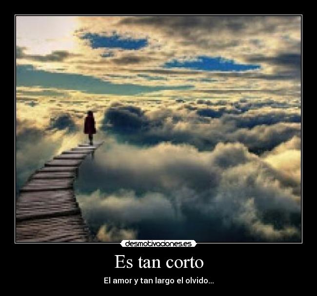 carteles aaaaaa desmotivaciones